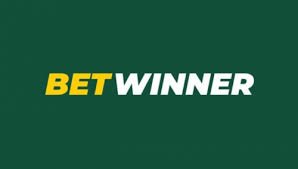 Discover Betwinner Your Ultimate Betting Experience